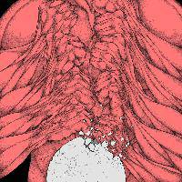 Oozing Wound : Earth Suck